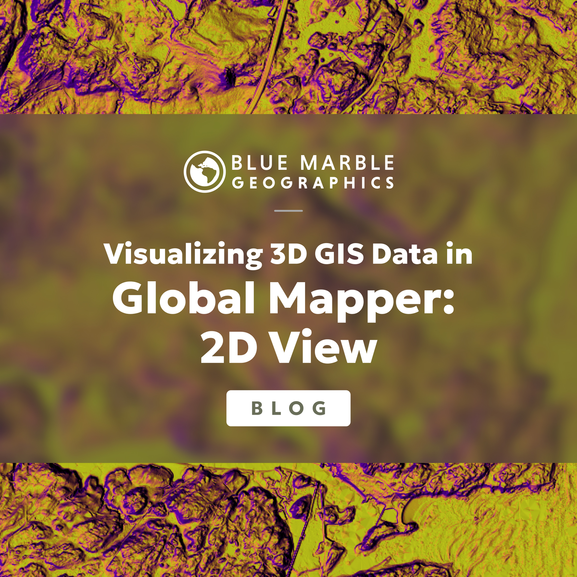 Global Mapper - 🔎 You can view any type of 3D data in... | Facebook