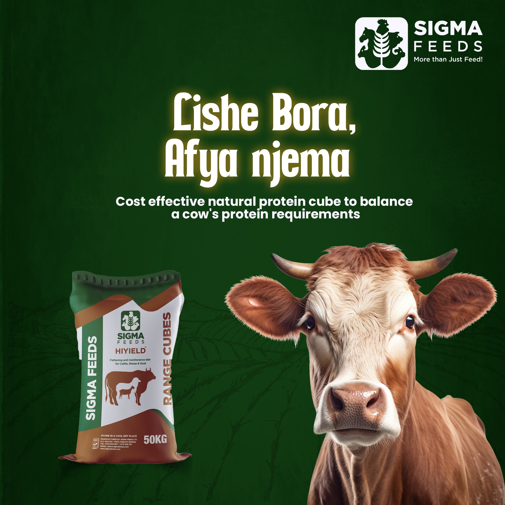 SIGMA - Our Range Cubes is a specifically designed maintenance ratio ...