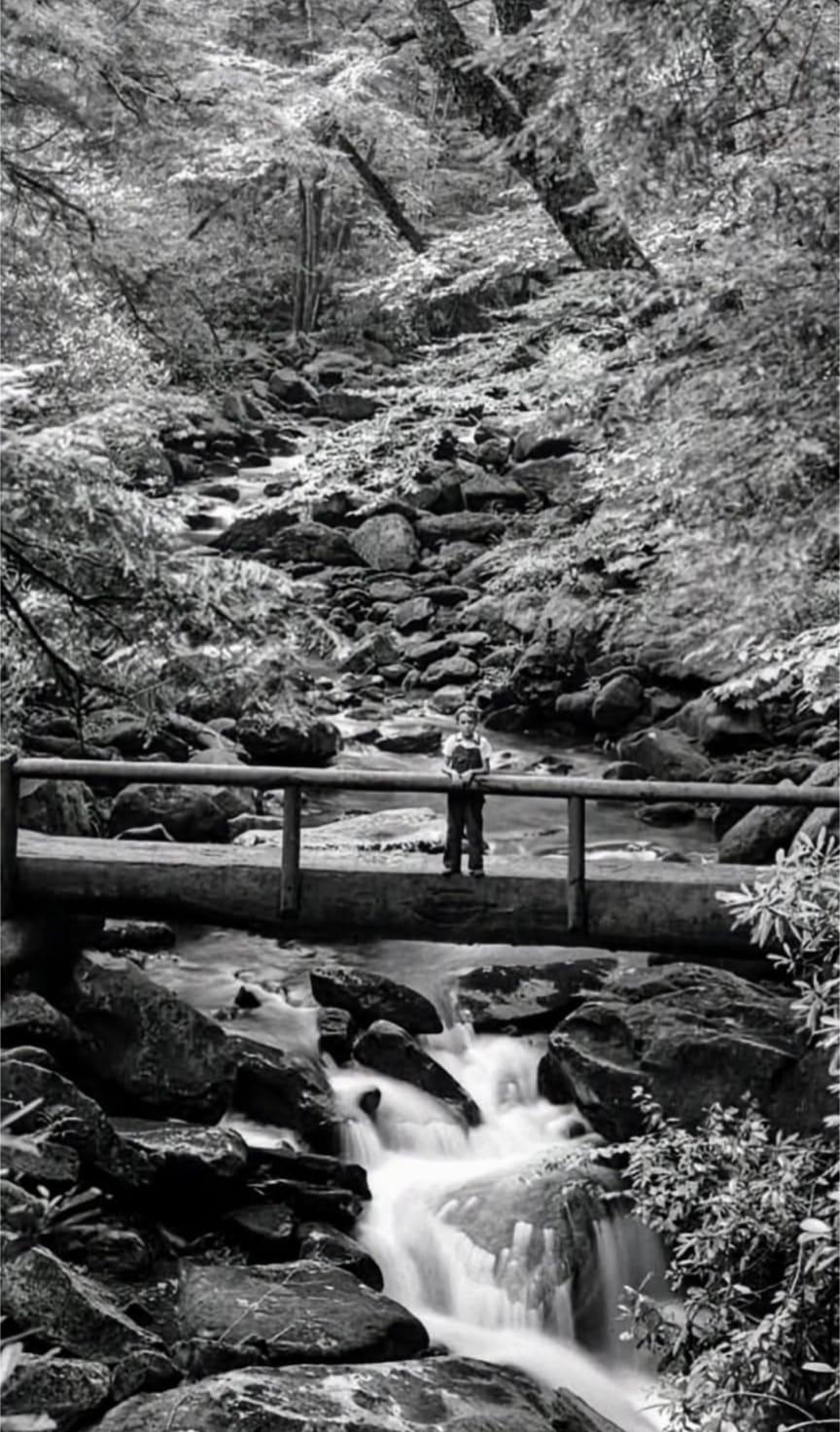 Great Smoky Mountains, 1938...... - Historical Pictures