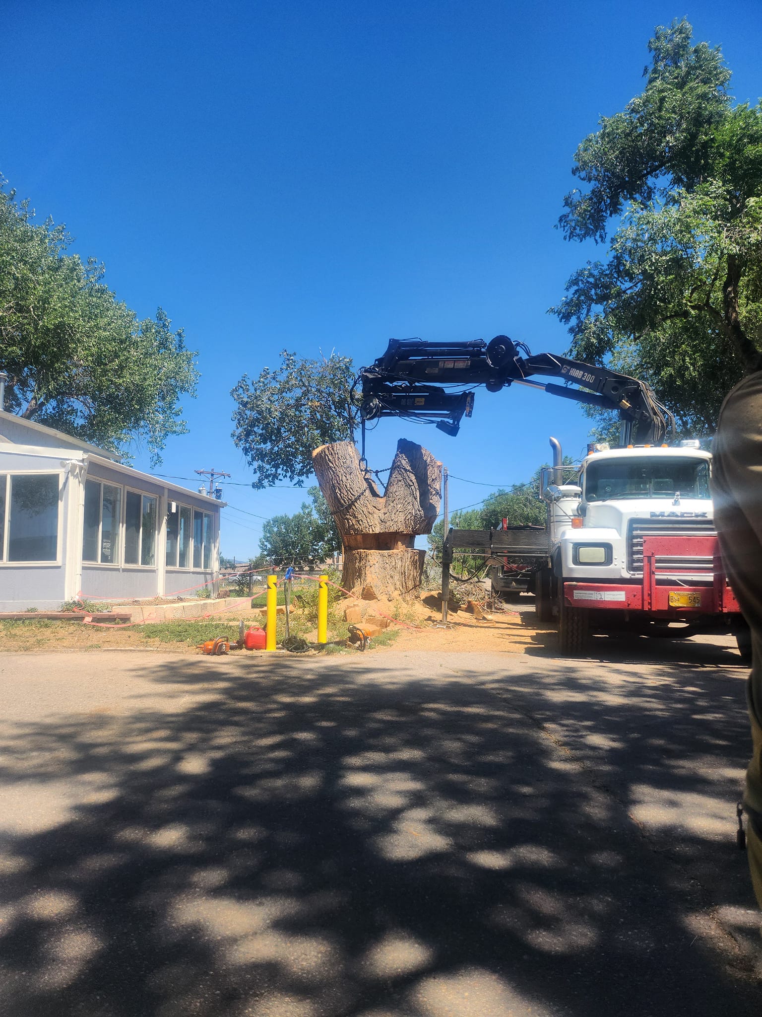 Apex Tree and Crane | Pueblo CO