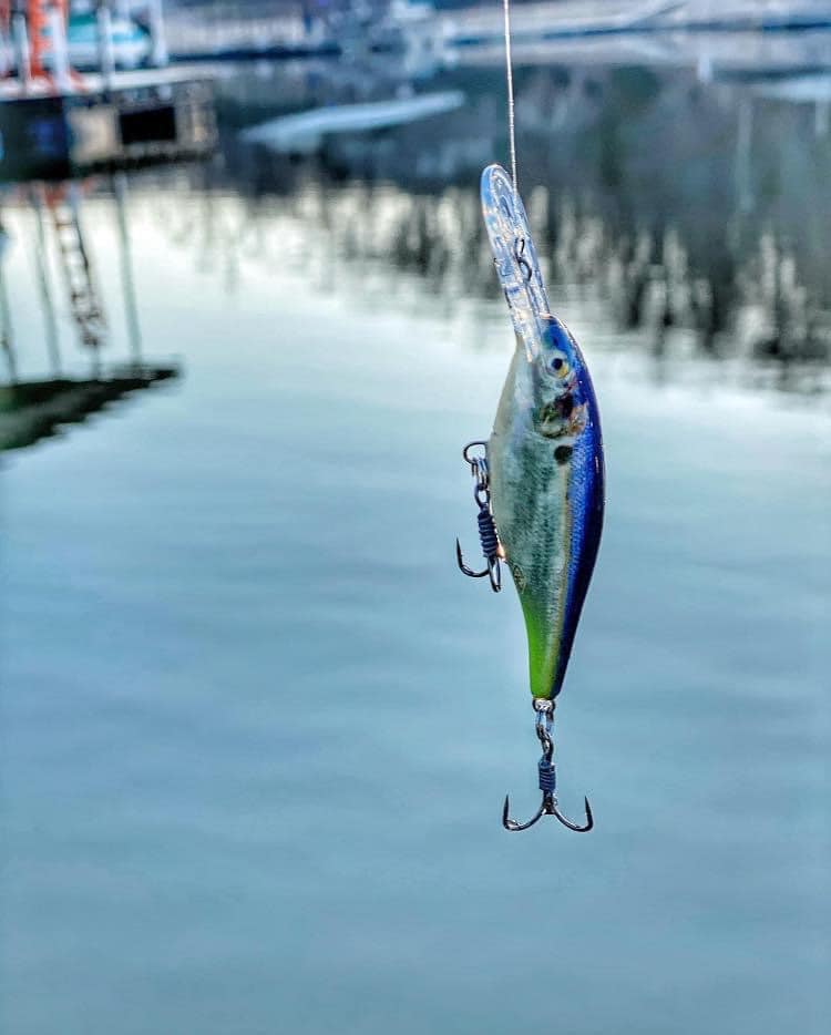 okuma sst 10'6 SST-S-1343FRa A Series Float Spinning Rod Reverse from left to Color:Dark Side Sucker filter::type:Sinking and sturgeon