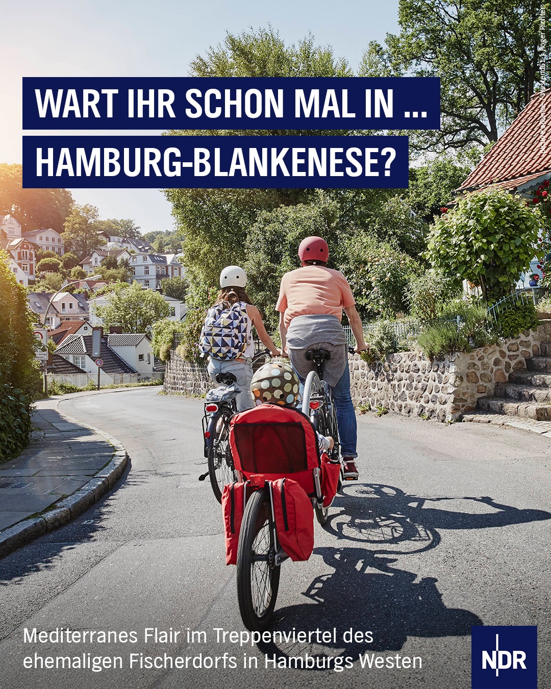 hiland mountainbike 29 zoll Hardtail Mountain Bike MTB 431mm Aluminiumrahmen Hydraulische Scheibenbremse 16 Gang mit Lock-Out Federgabel Schwarz Sport & Freizeit sport:Fight Dog Gear Review | 1/2 Dog Set:HO-K5S4GD-1/2-GA (2.615/1.611)