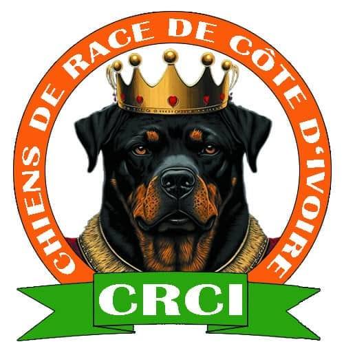 En apdotion au +225 0749071850 Nous sommes disponibles pour tous vos ...