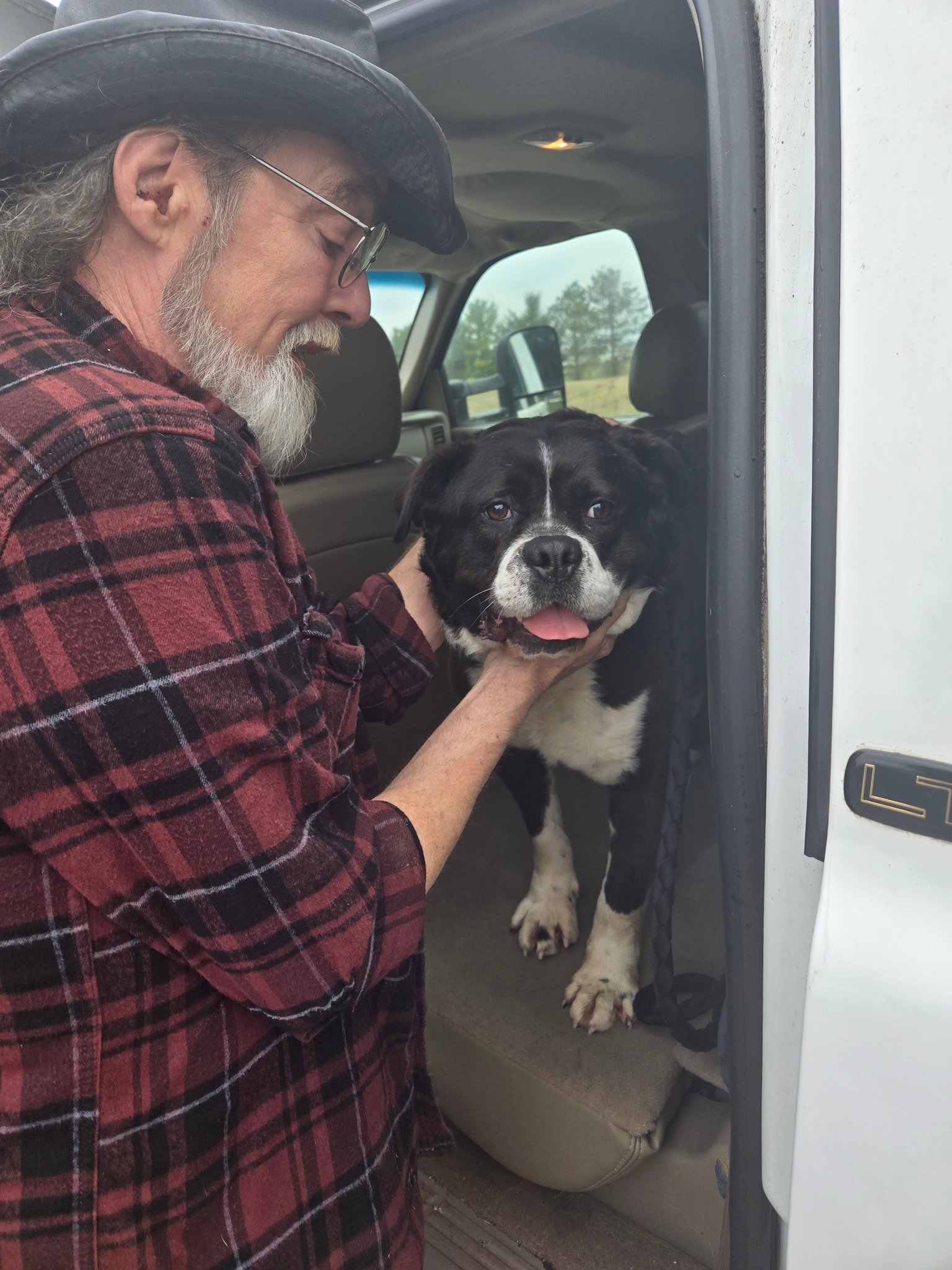 Ark Animal Rescue and... - Ark Animal Rescue and Adoption