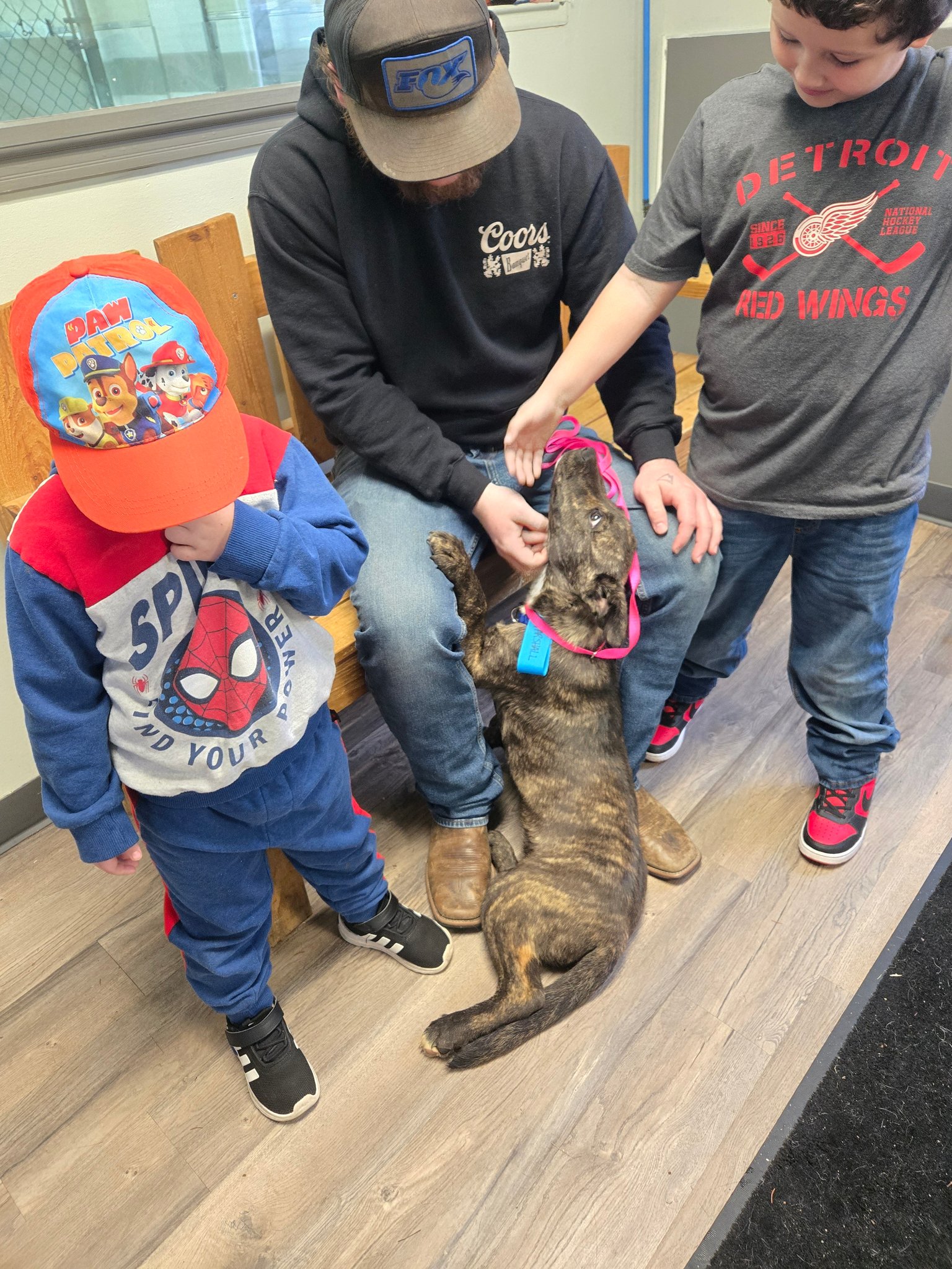 Ark Animal Rescue and... - Ark Animal Rescue and Adoption