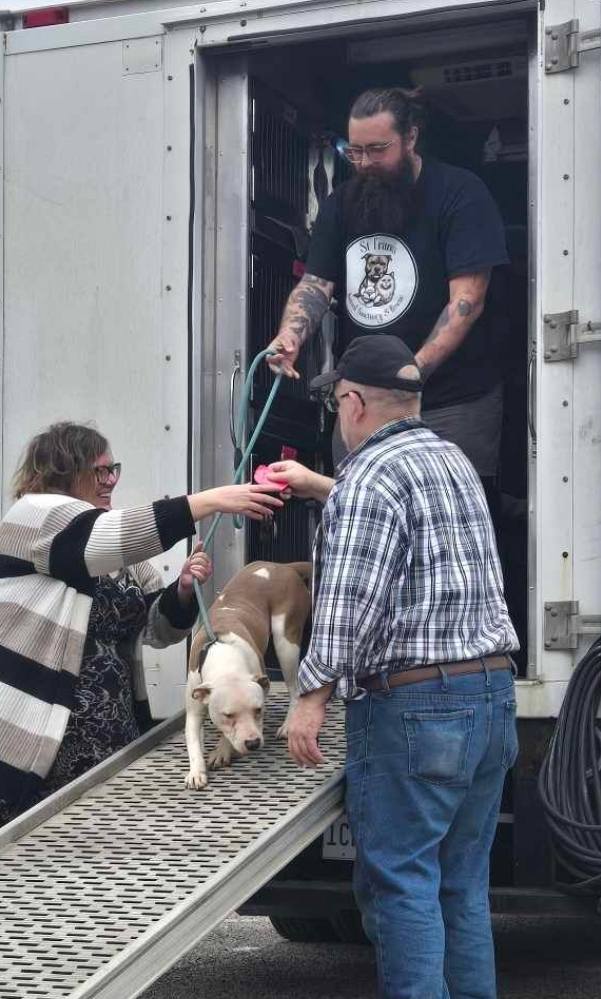 Ark Animal Rescue and... - Ark Animal Rescue and Adoption