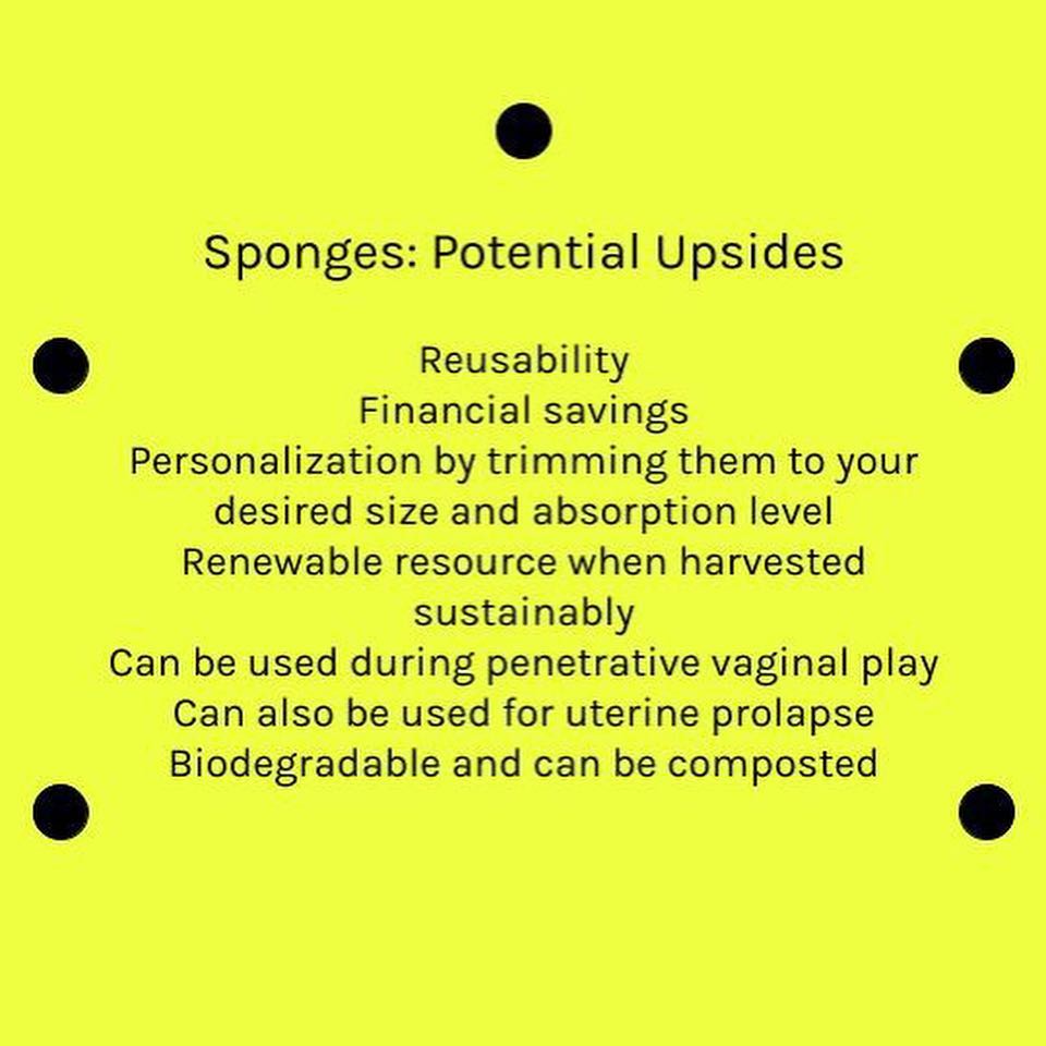 🌊Sea Sponges🌊 we list some of their... - The Fifth Vital Sign | Facebook