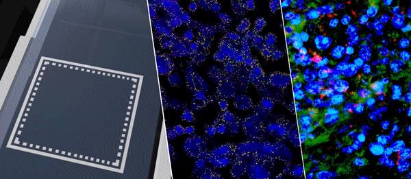BioGenex - 🔬 Explore the future of spatial biology with...