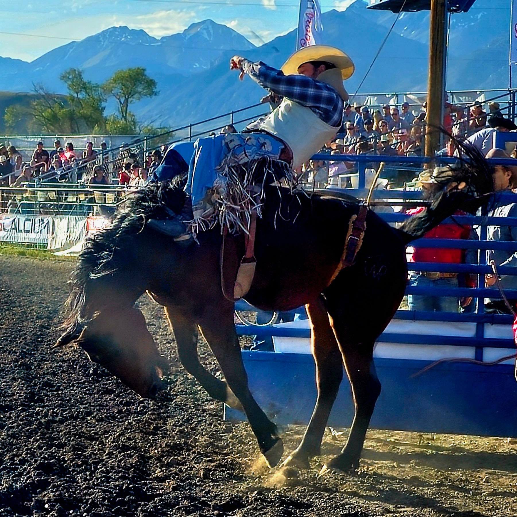Mackay - Check it out!! Our 2025 Mackay PRCA Rodeo poster! Friday June ...