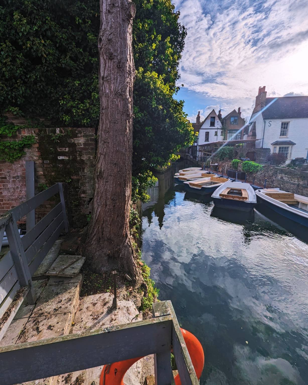 The Kent Tree Company