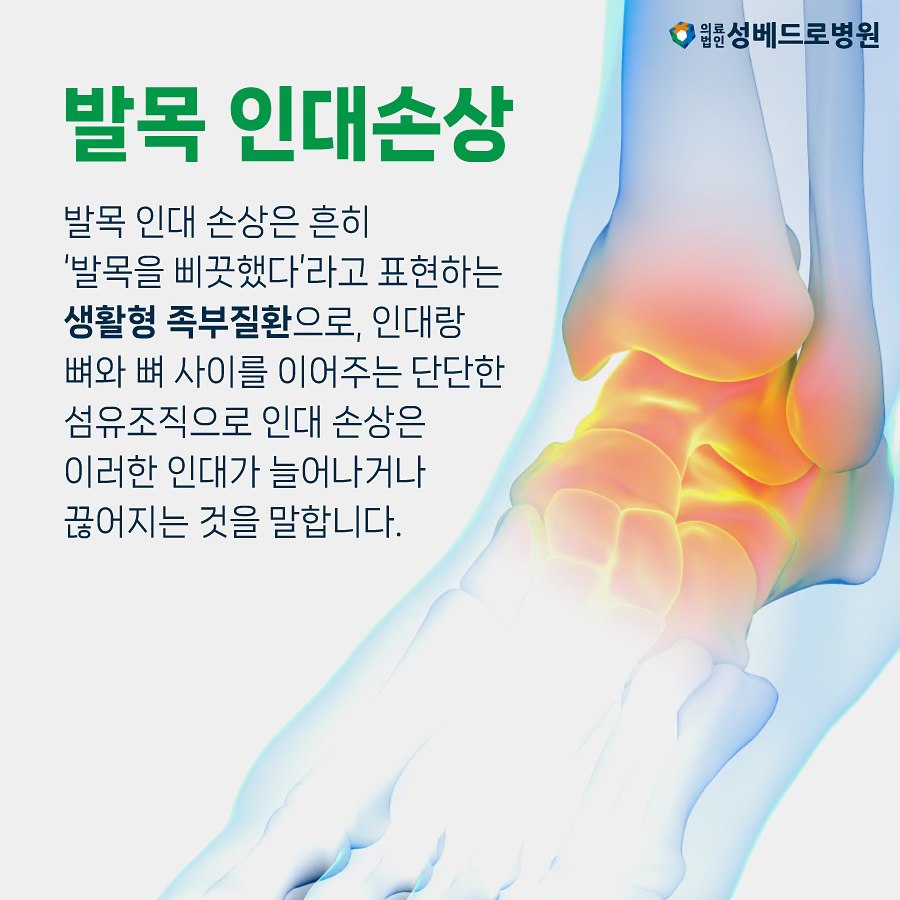발목뼈와 인대