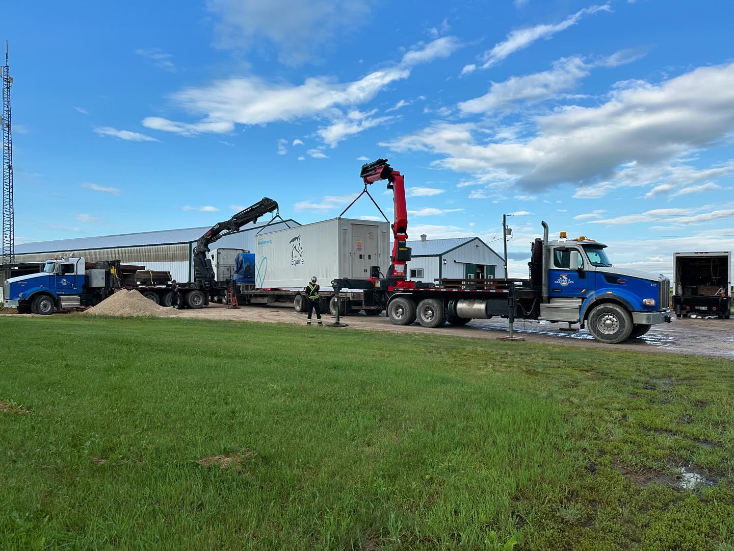 This unique project was a first for... - Willm's Craning Ltd. | Facebook