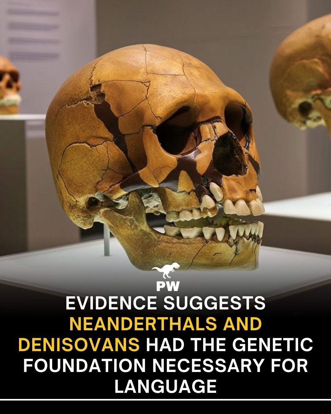 The Prehistoric - What if the precursors to human language didn’t ...