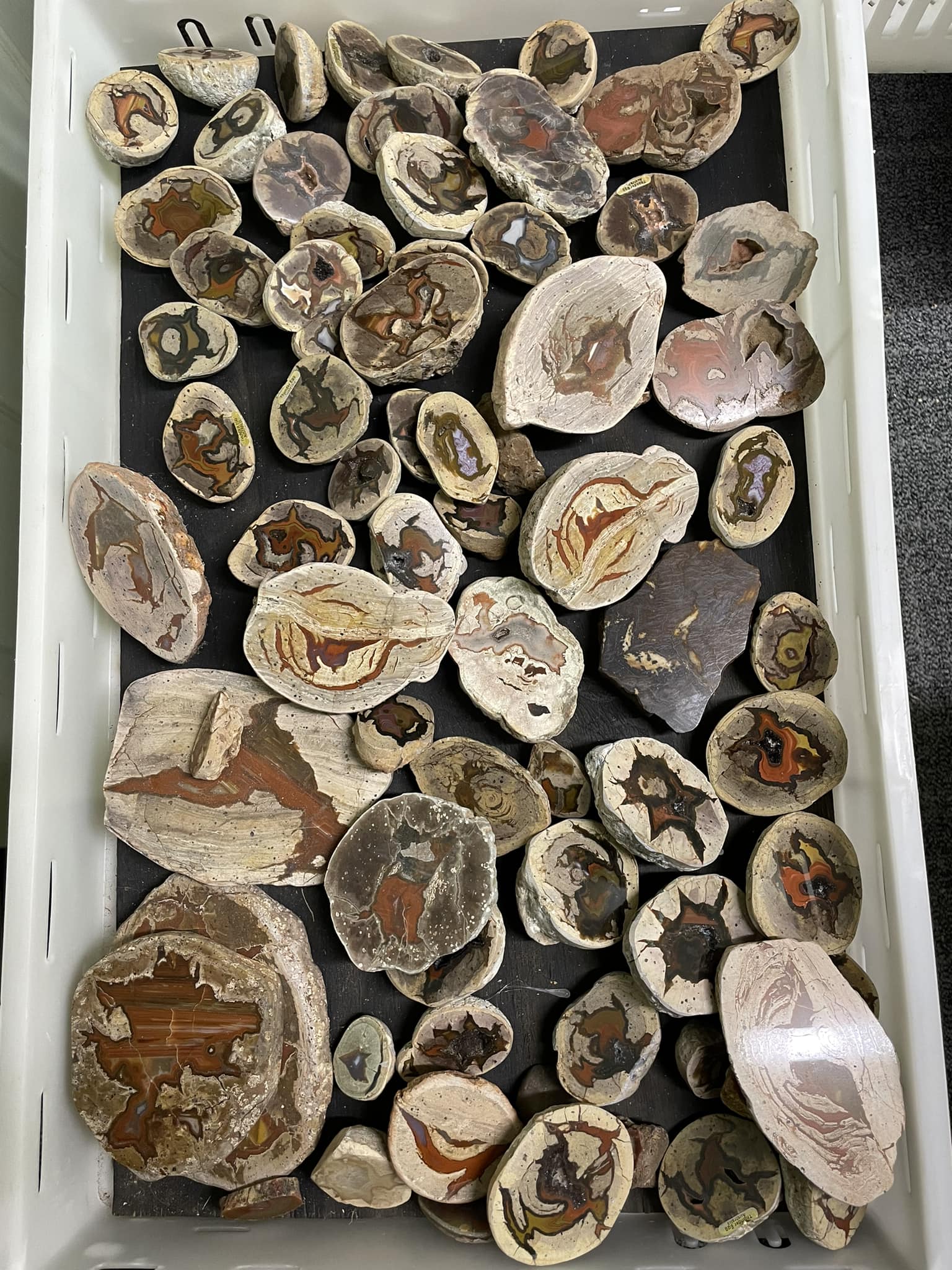 Australian Rocks and Minerals