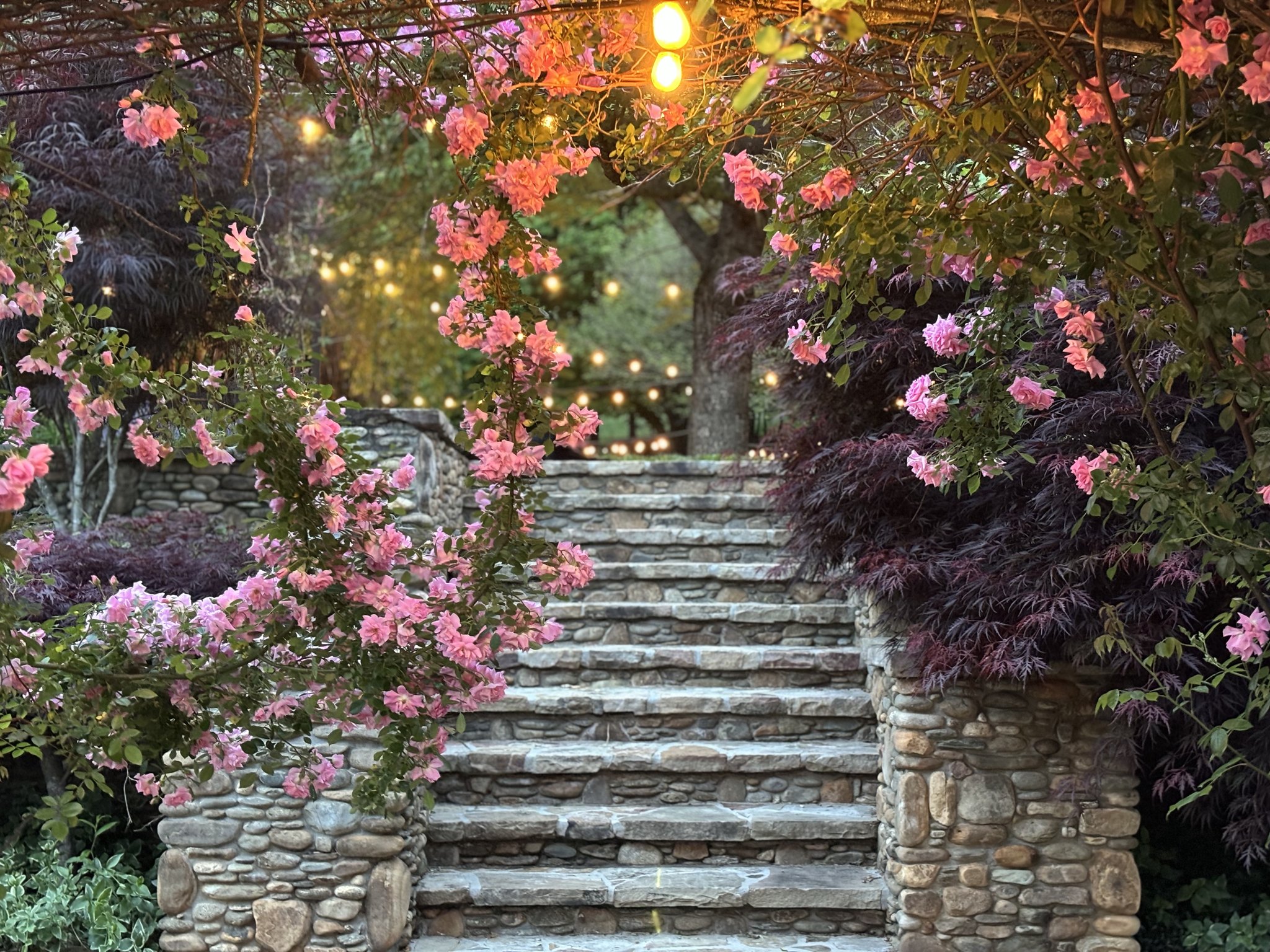 The... - The HomeStead at Wilshire Ranch in Oak Glen