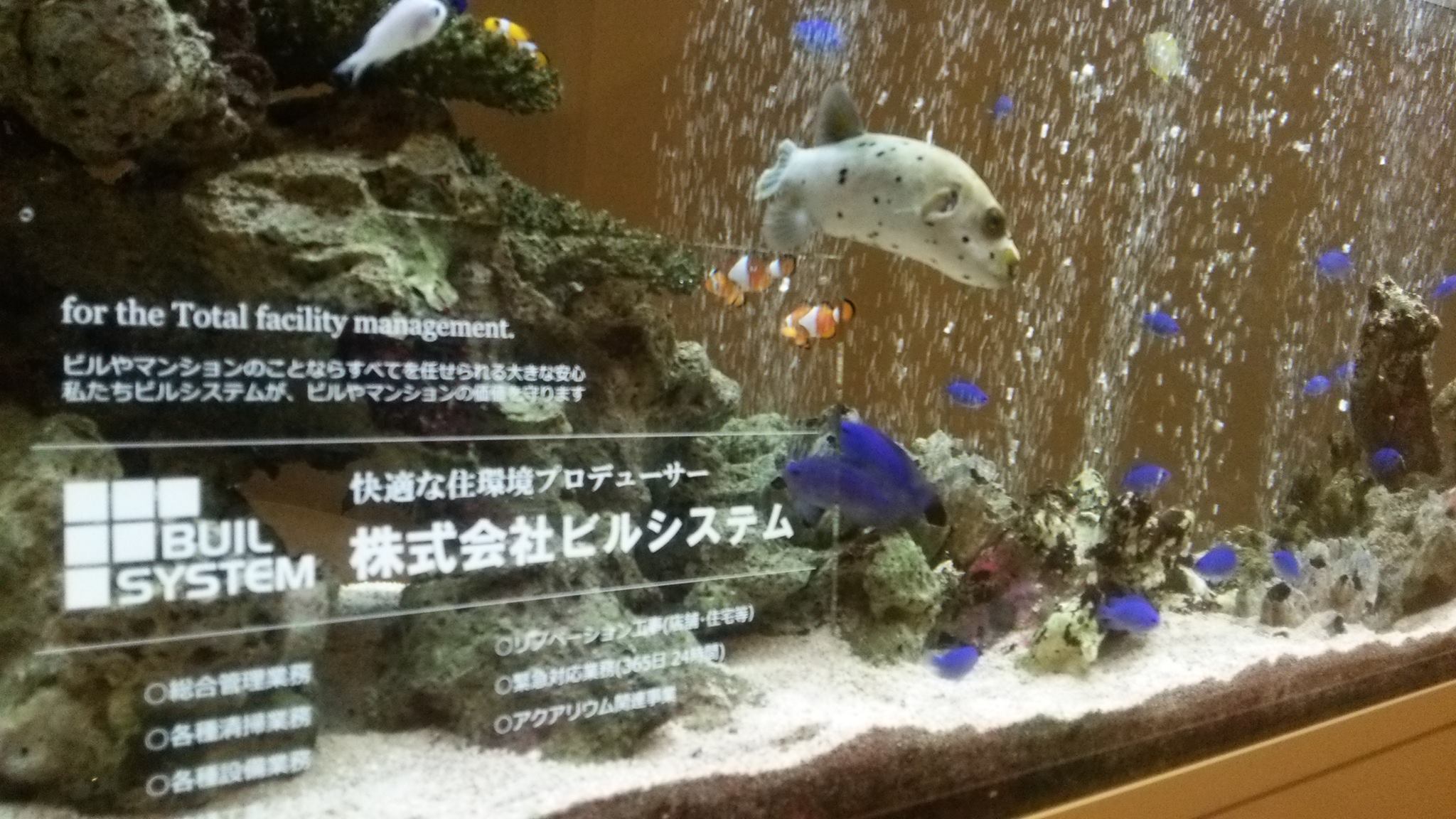 株式会社ビルシステム Home Facebook