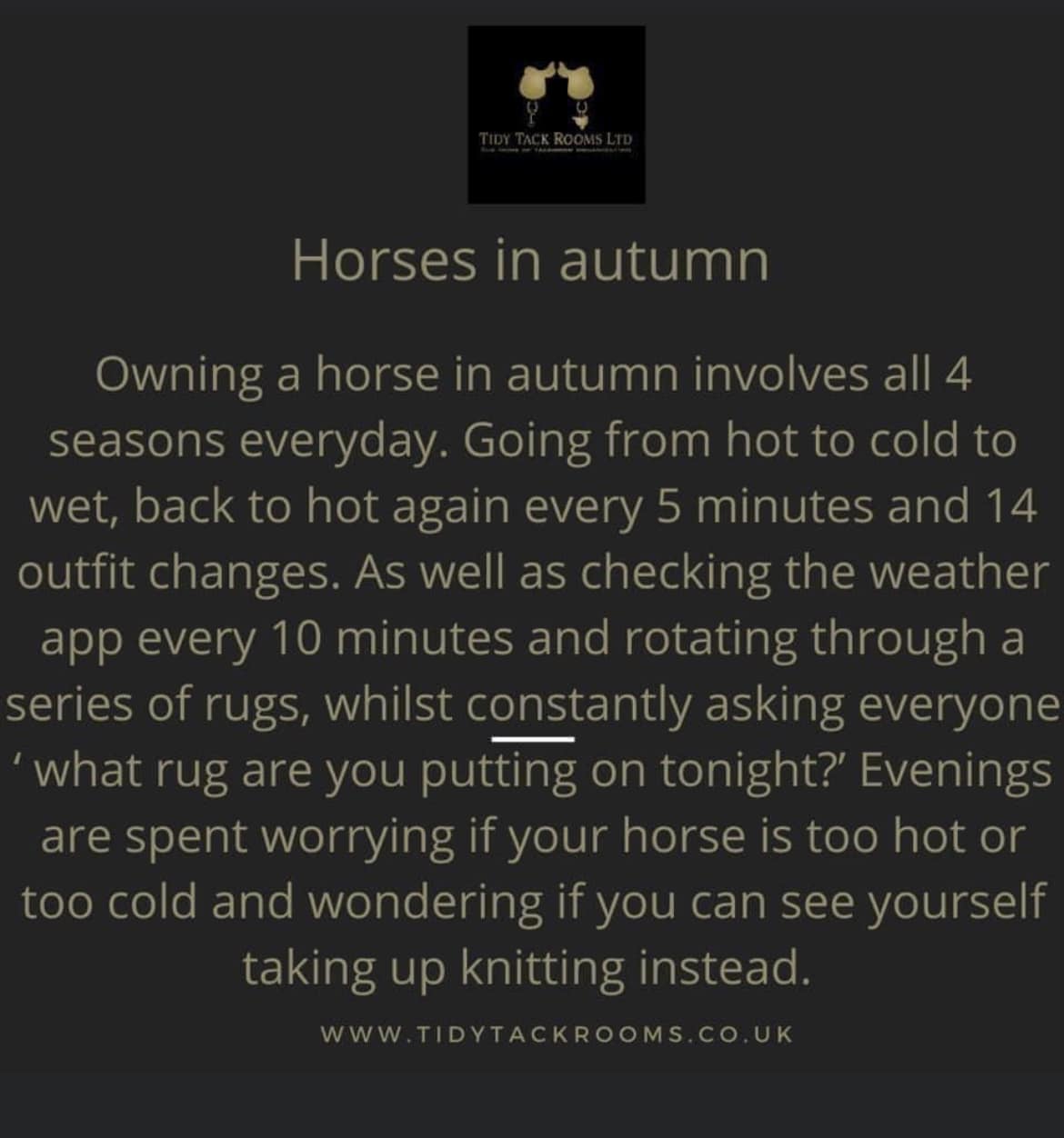Butlers Farm Stables | Rochford