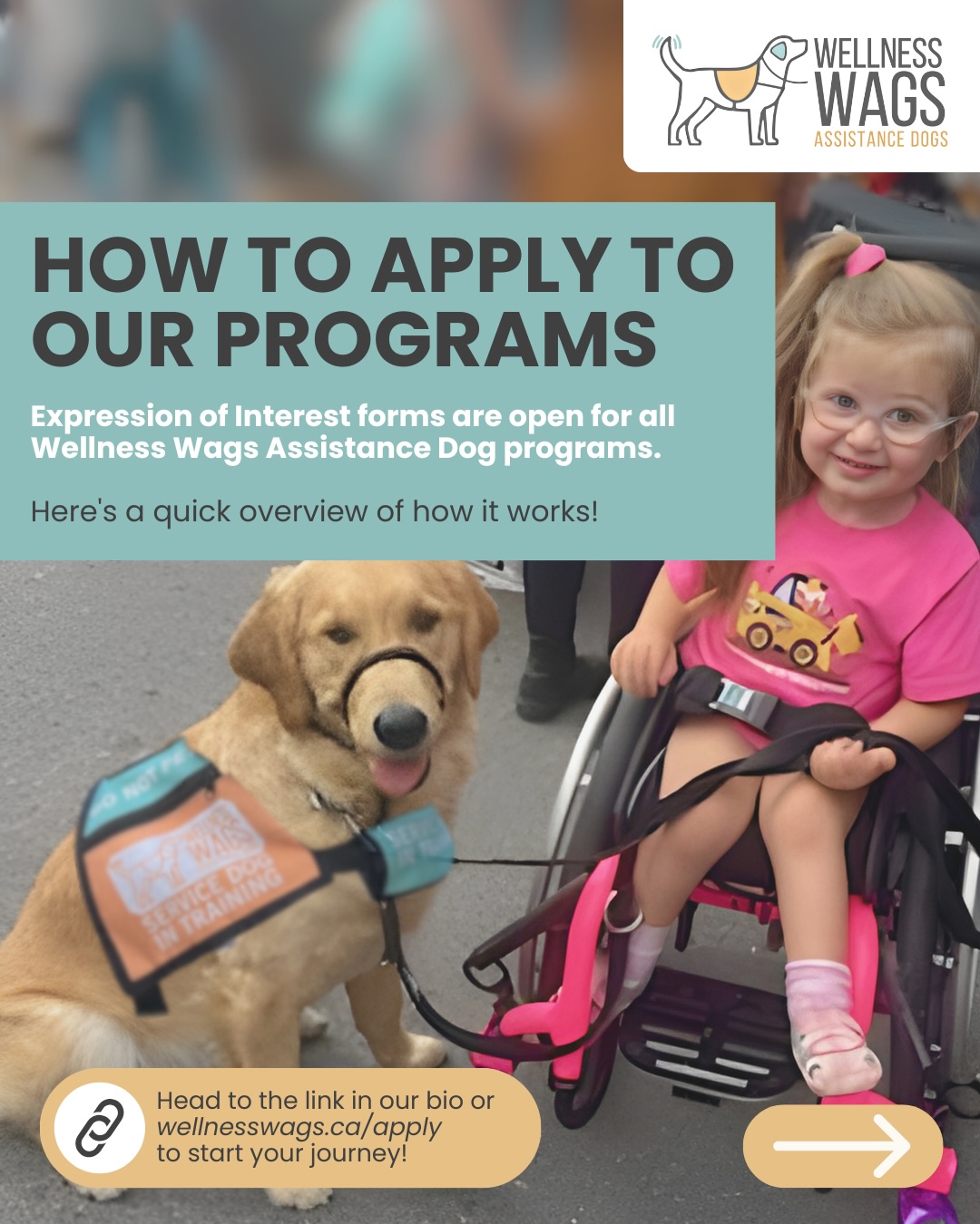 Photo inspiration: Gallery Detail: Wellness Wags Assistance Dogs