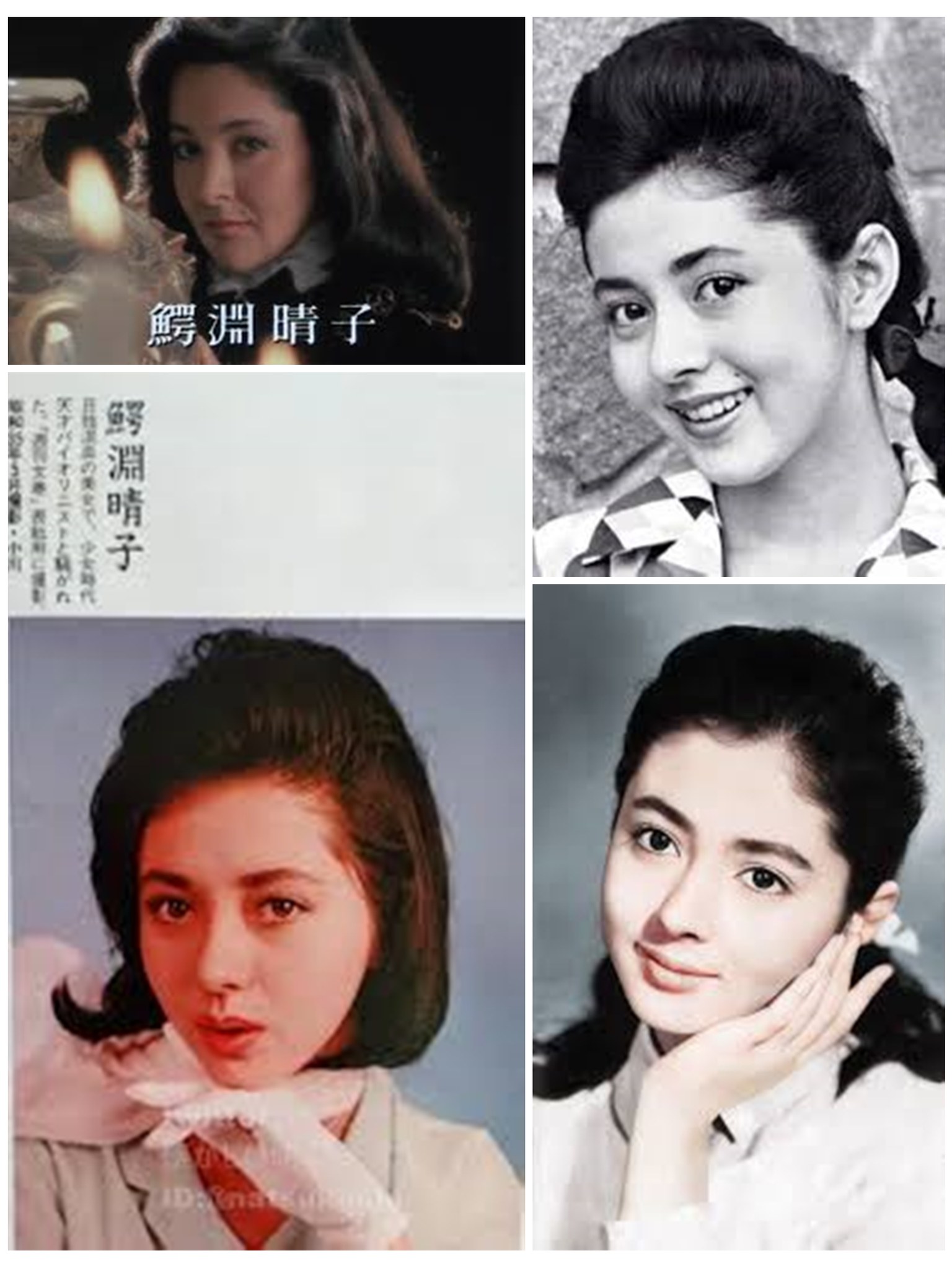 活動歴および当時の関連ビジュアル記録