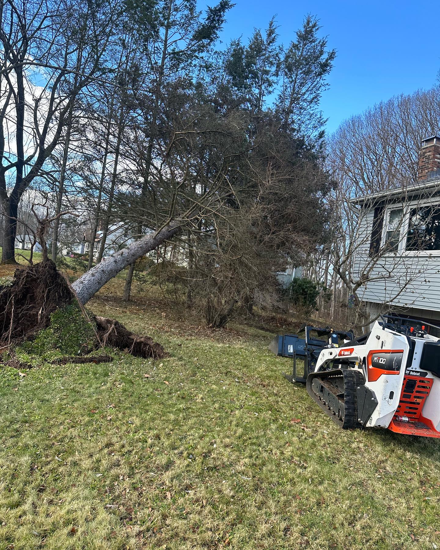TSL Landscaping LLC | Glastonbury CT