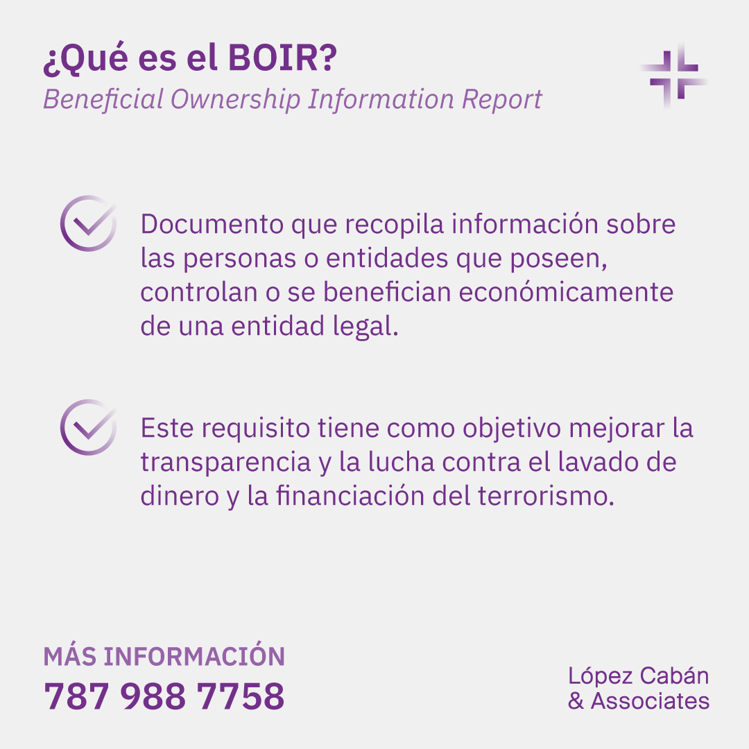López - 🔍 ¿Qué es el BOIR? Es un informe crucial que recoge información ...