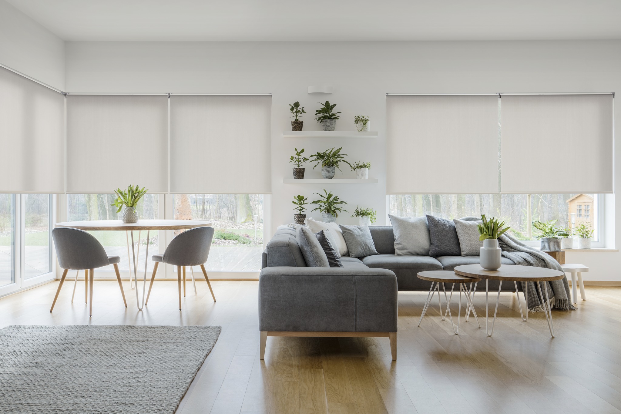 Shaderite Blinds | Brisbane QLD