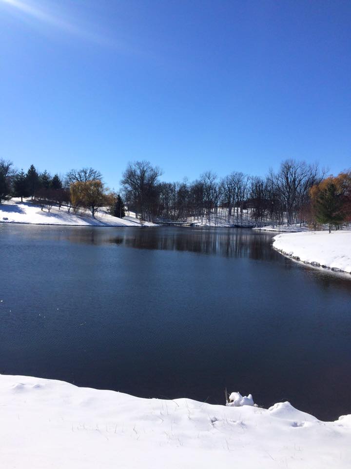 Hackert Tree Farm | Lynnville IA