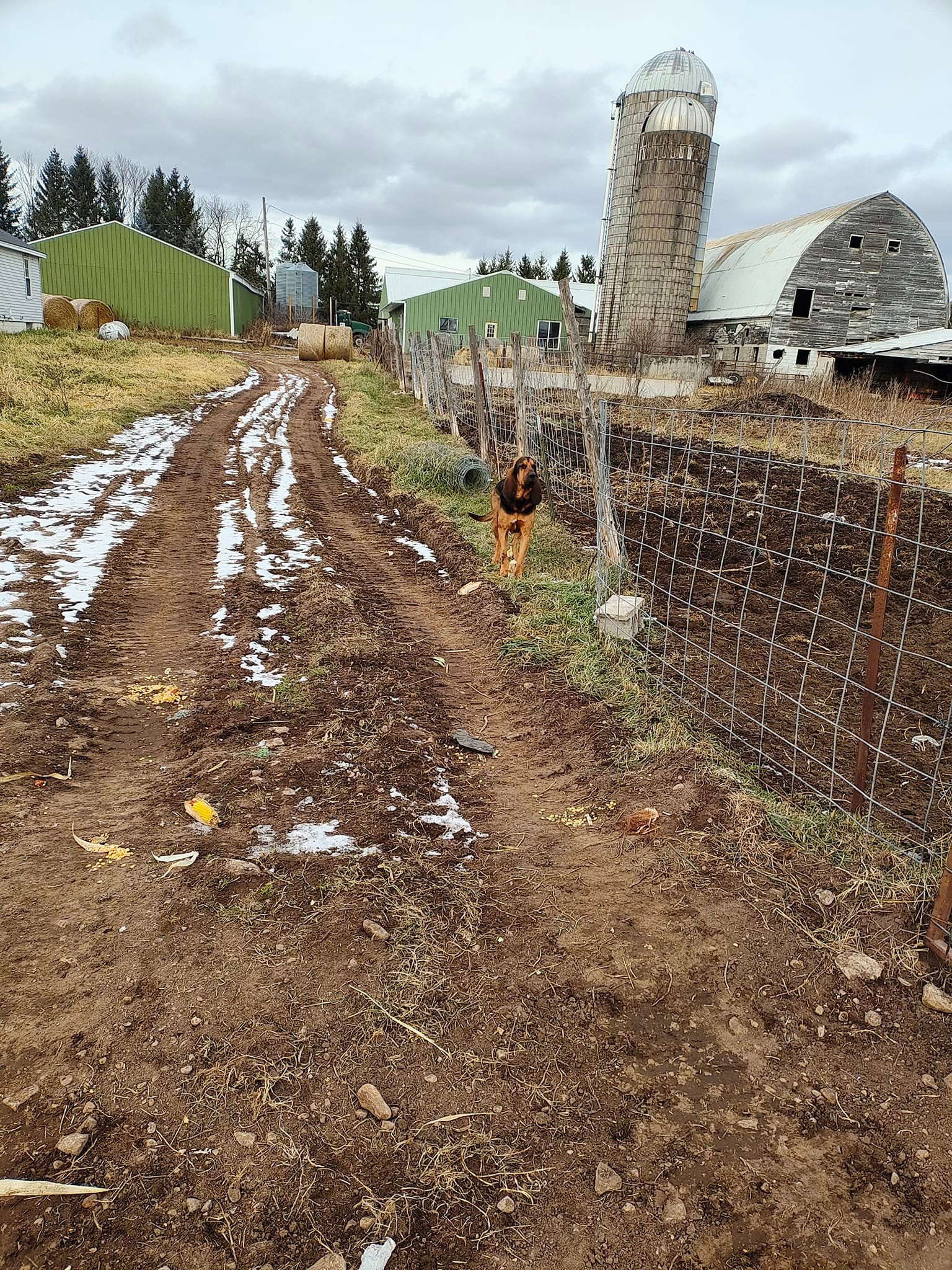 Freedom Ranch 906 LLC. | Cornell MI