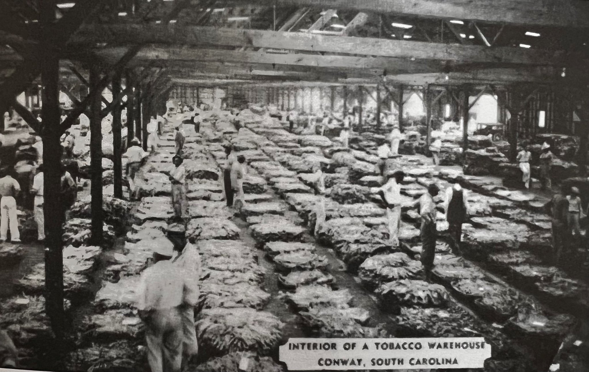 It happened in Horry: Back in the day, Loris had several tobacco markets  that attracted both farmers and buyers