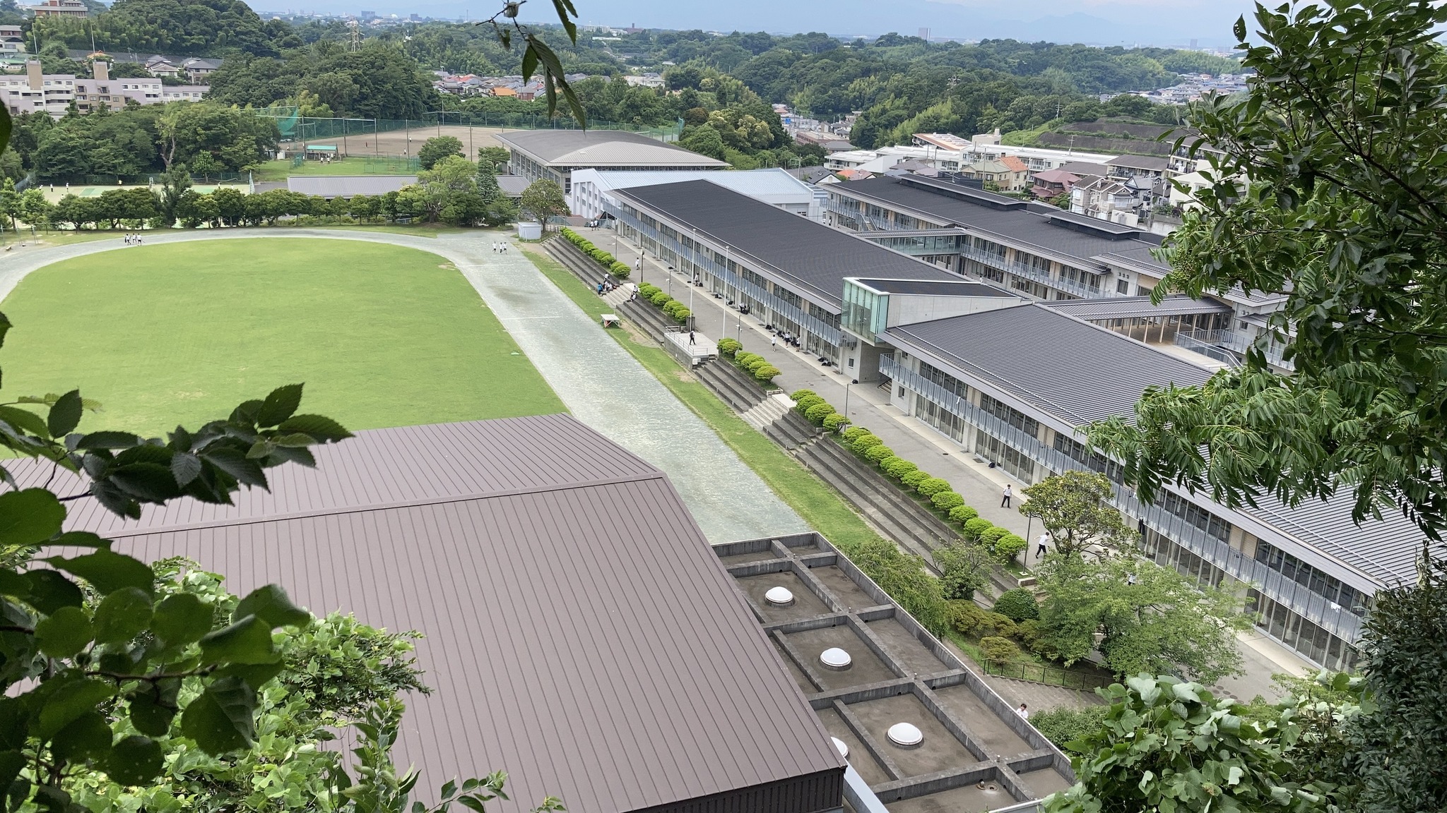 公の場での発言・インタビュー報道記録