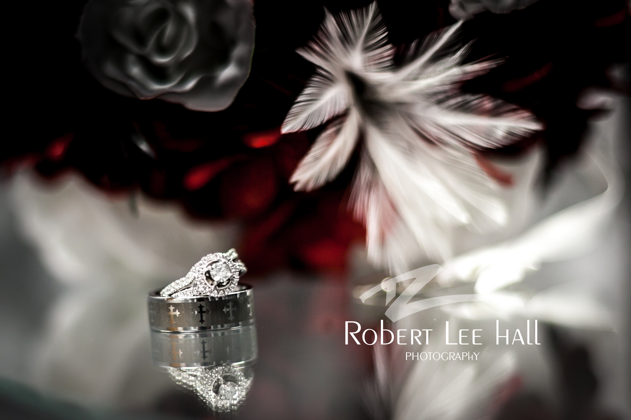 Robert Lee Hall Photography | Port Huron MI