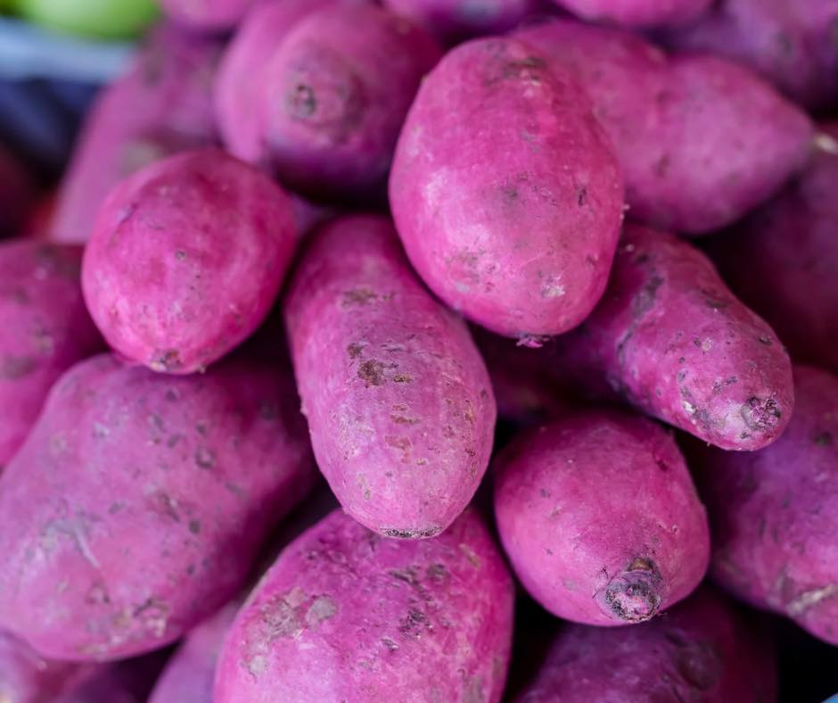 Galena - Have you heard the buzz about Ube? It is a vibrant, purple yam ...