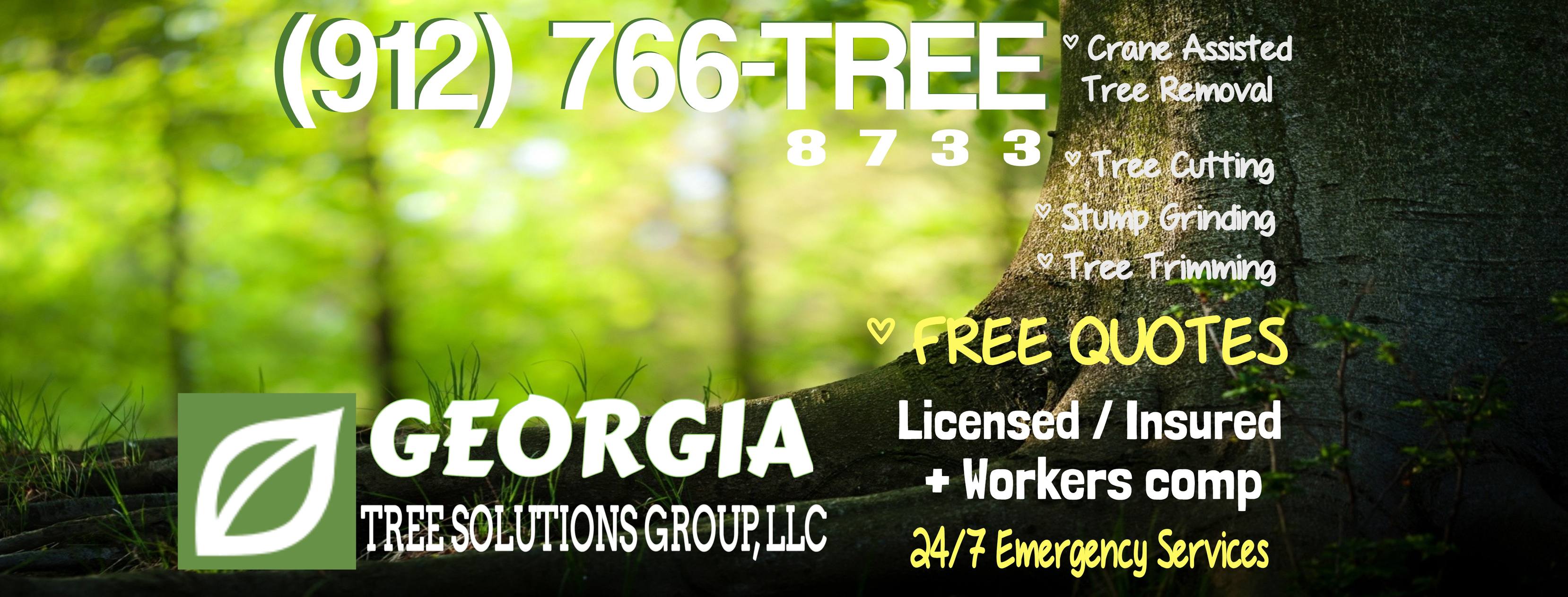 Georgia Tree Solutions | Savannah GA