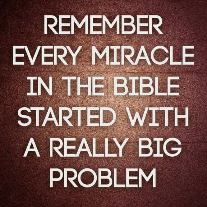 South - From mistake to miracle.🙏 'They saw a group of Ishmaelites ...