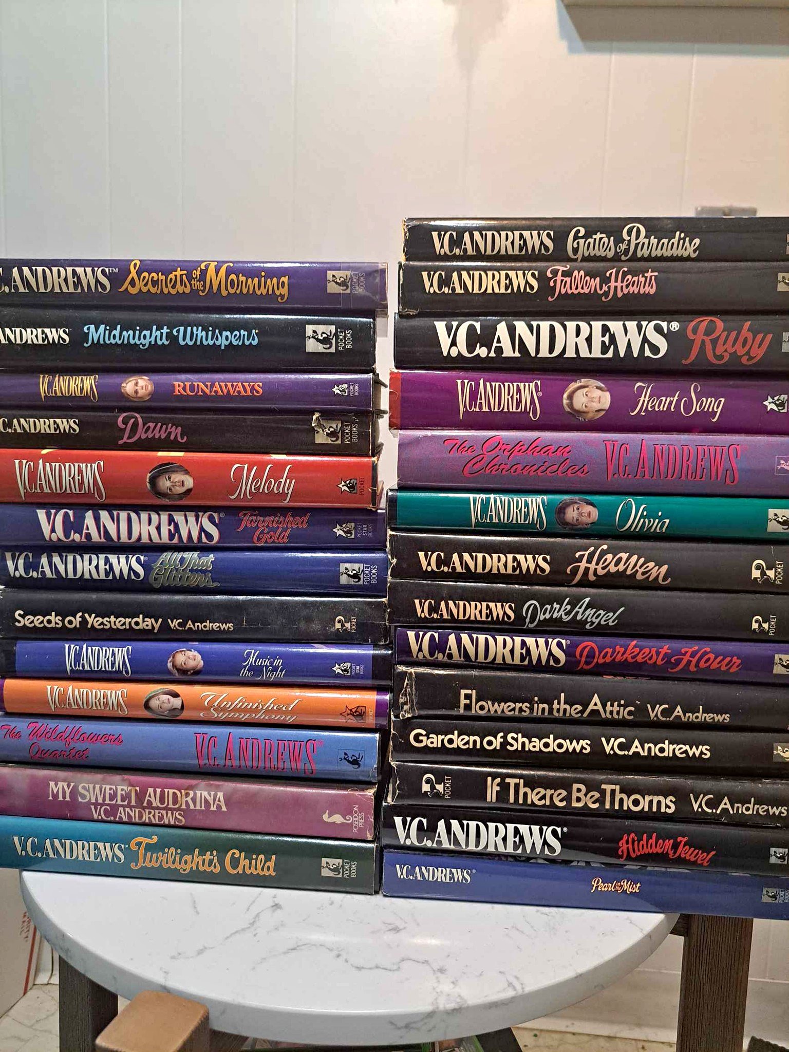 Huge lot of 30 R.L. Stone Goosebumps paperback books (1 hardback) in ...