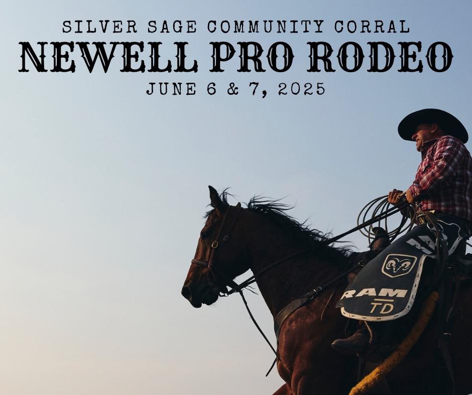 Silver Sage | Brooks AB