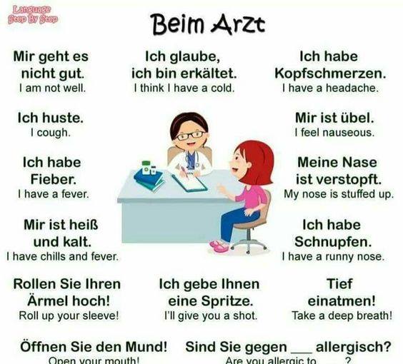 Germanvocabulary Wortschatz Arzt The German Language School