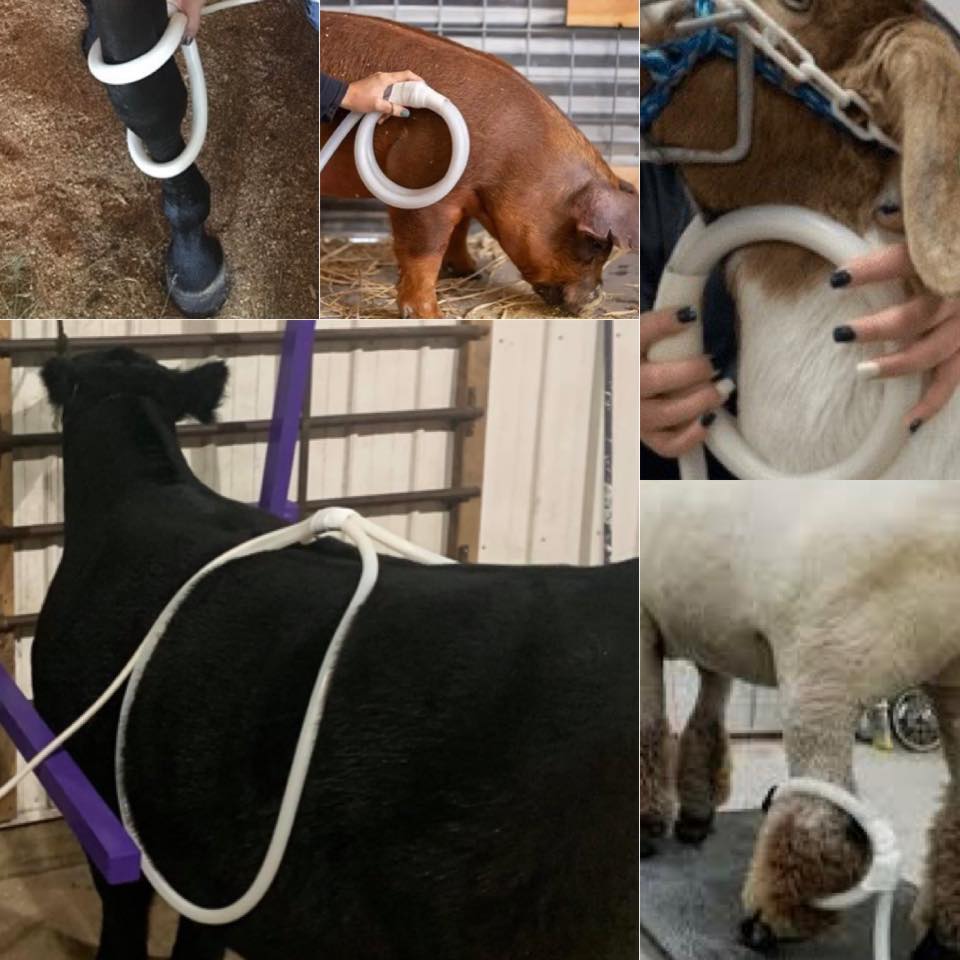 Strader Livestock