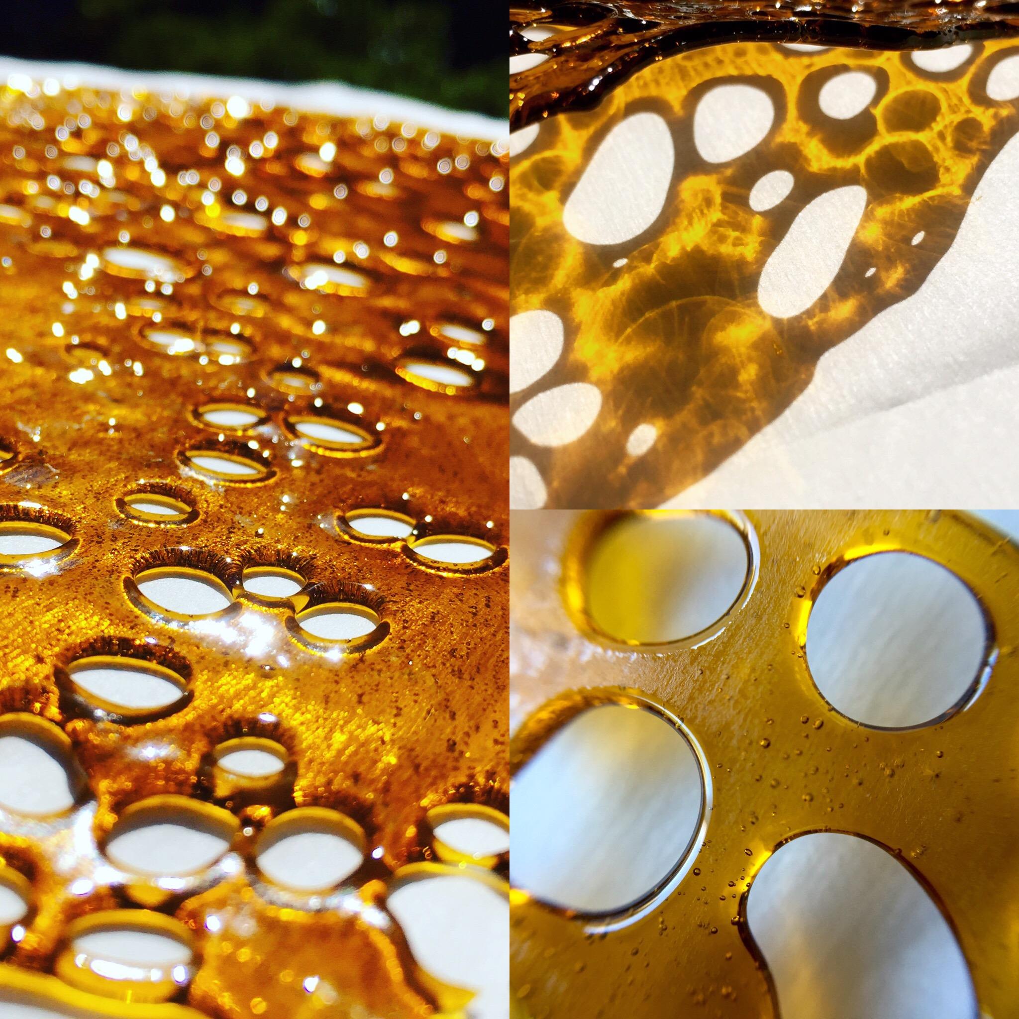 Infinite Extracts Collective