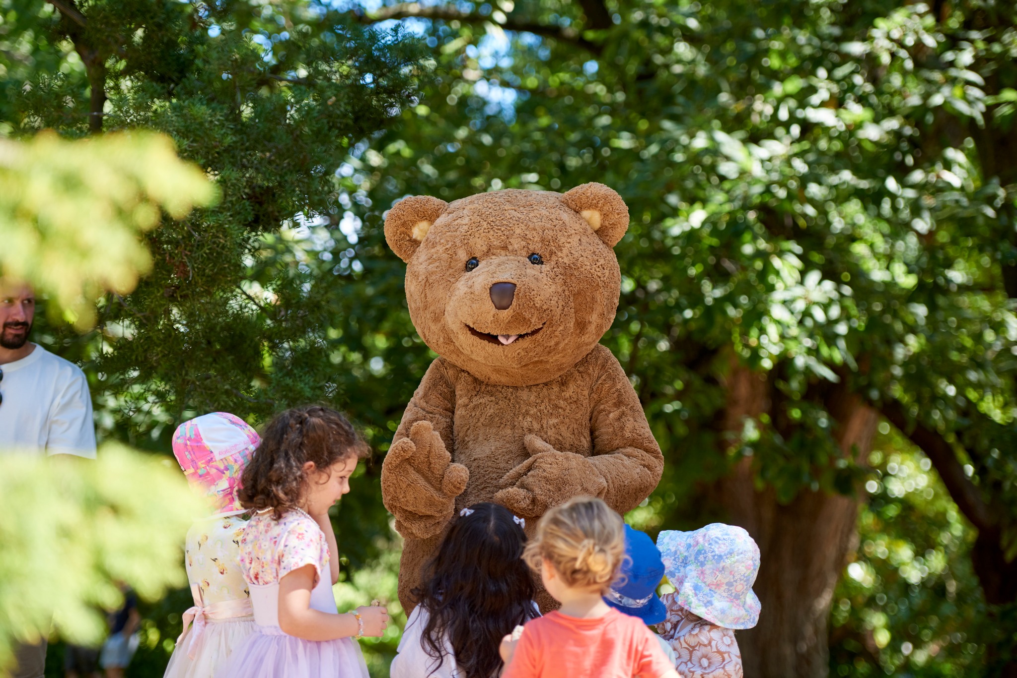 The Teddy Bears’ Picnic