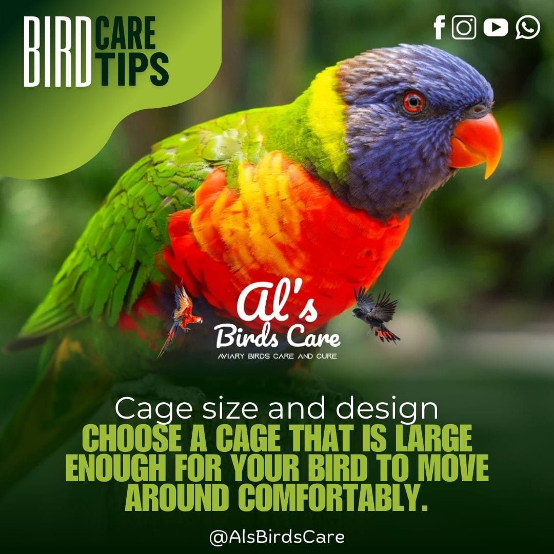 Curated visual reference: Fresh Look at Al S The Ultimate Guide To Bird Cage Size And