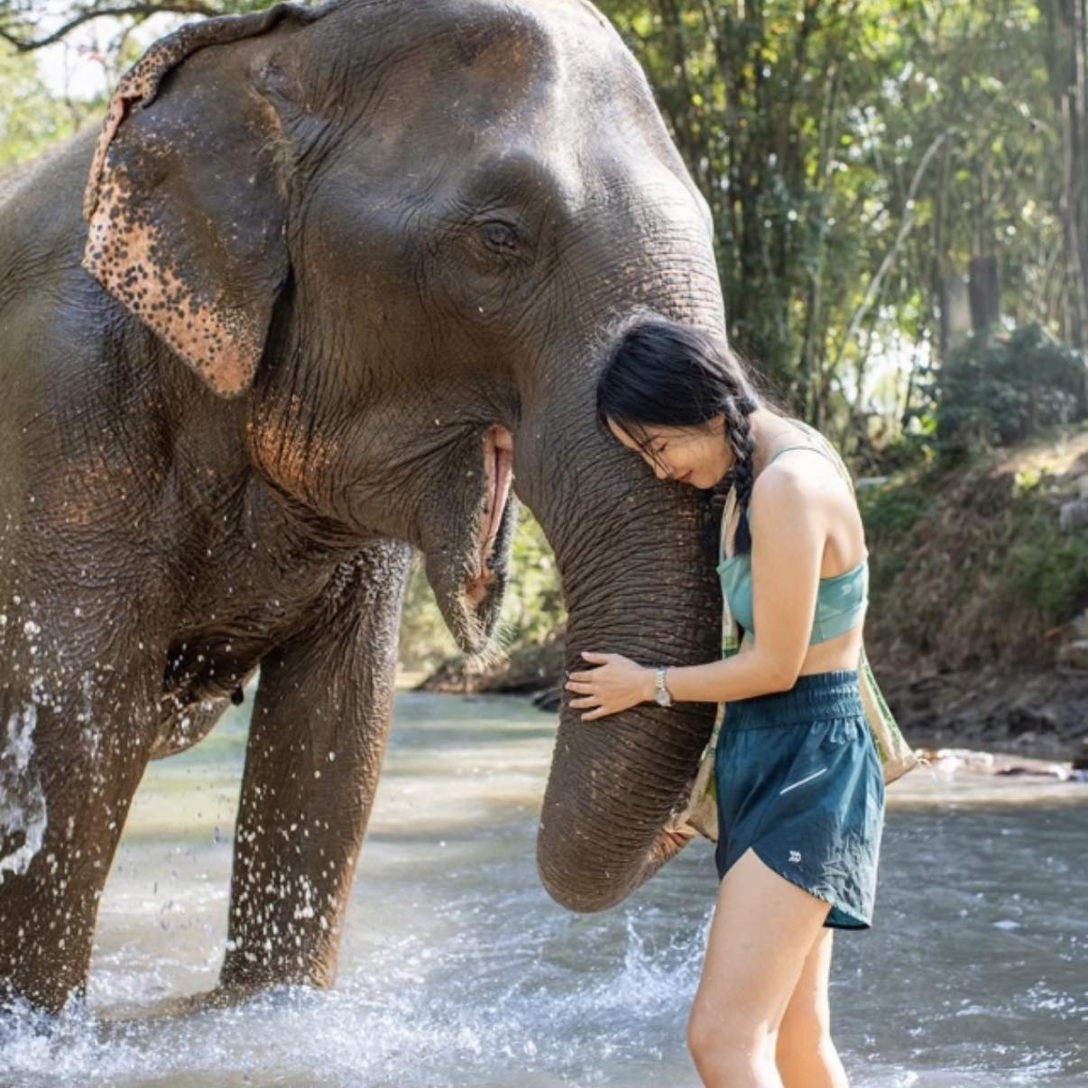 That little trunk is ready for some serious playtime! 🥹🐘 🌿 Ethical ...