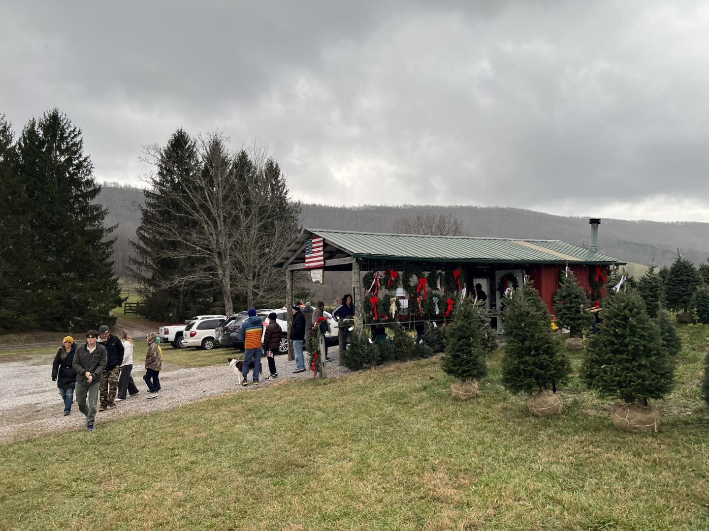 Spruce Ridge Tree Farm | Newport VA