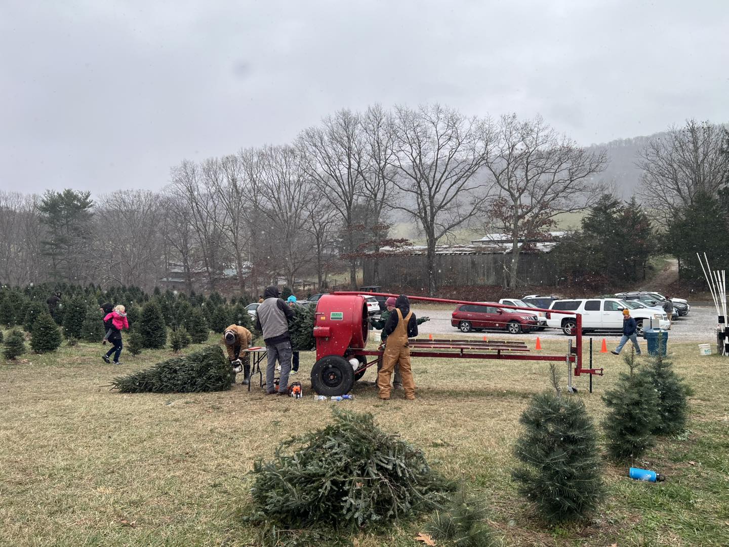 Spruce Ridge Tree Farm | Newport VA
