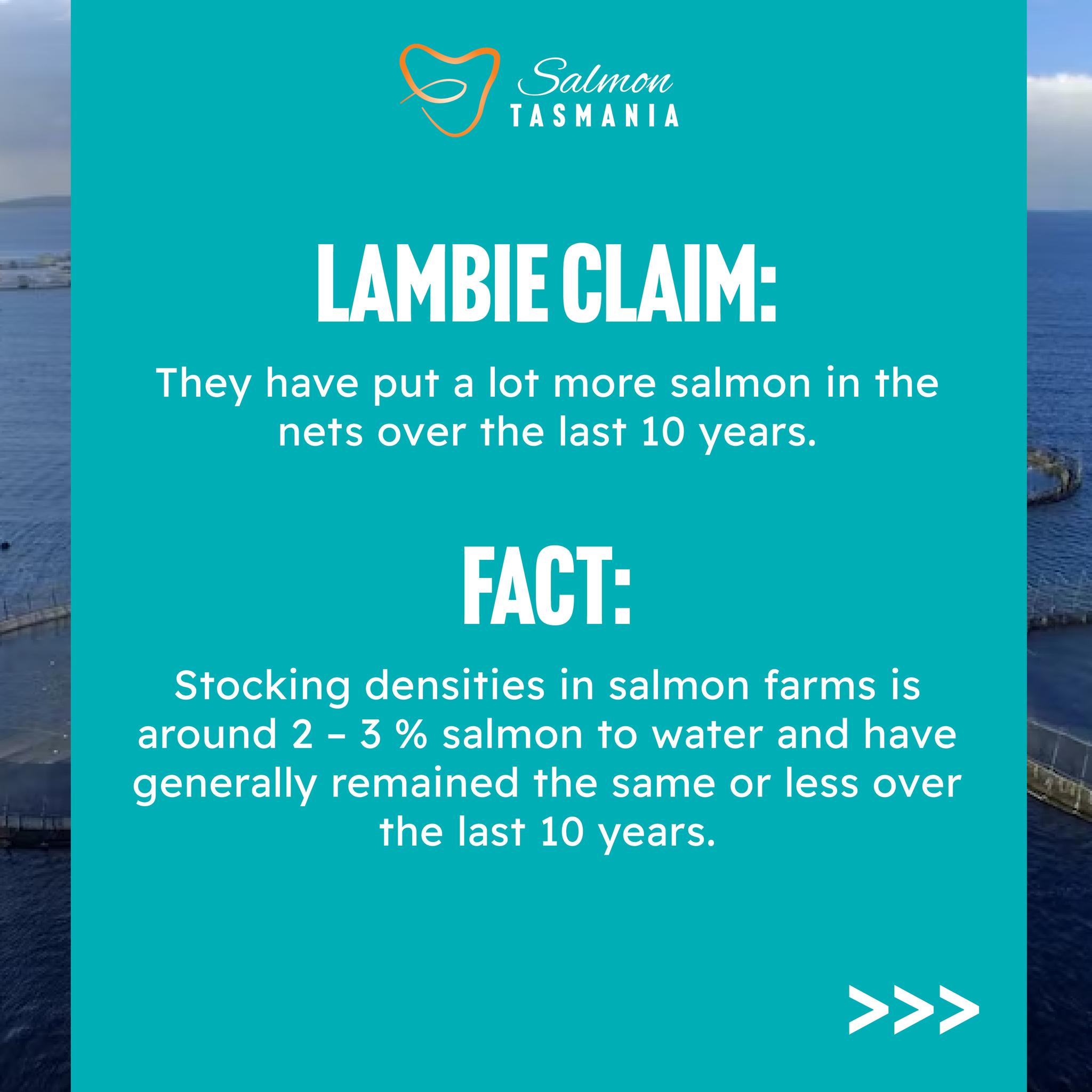 Salmon Tasmania