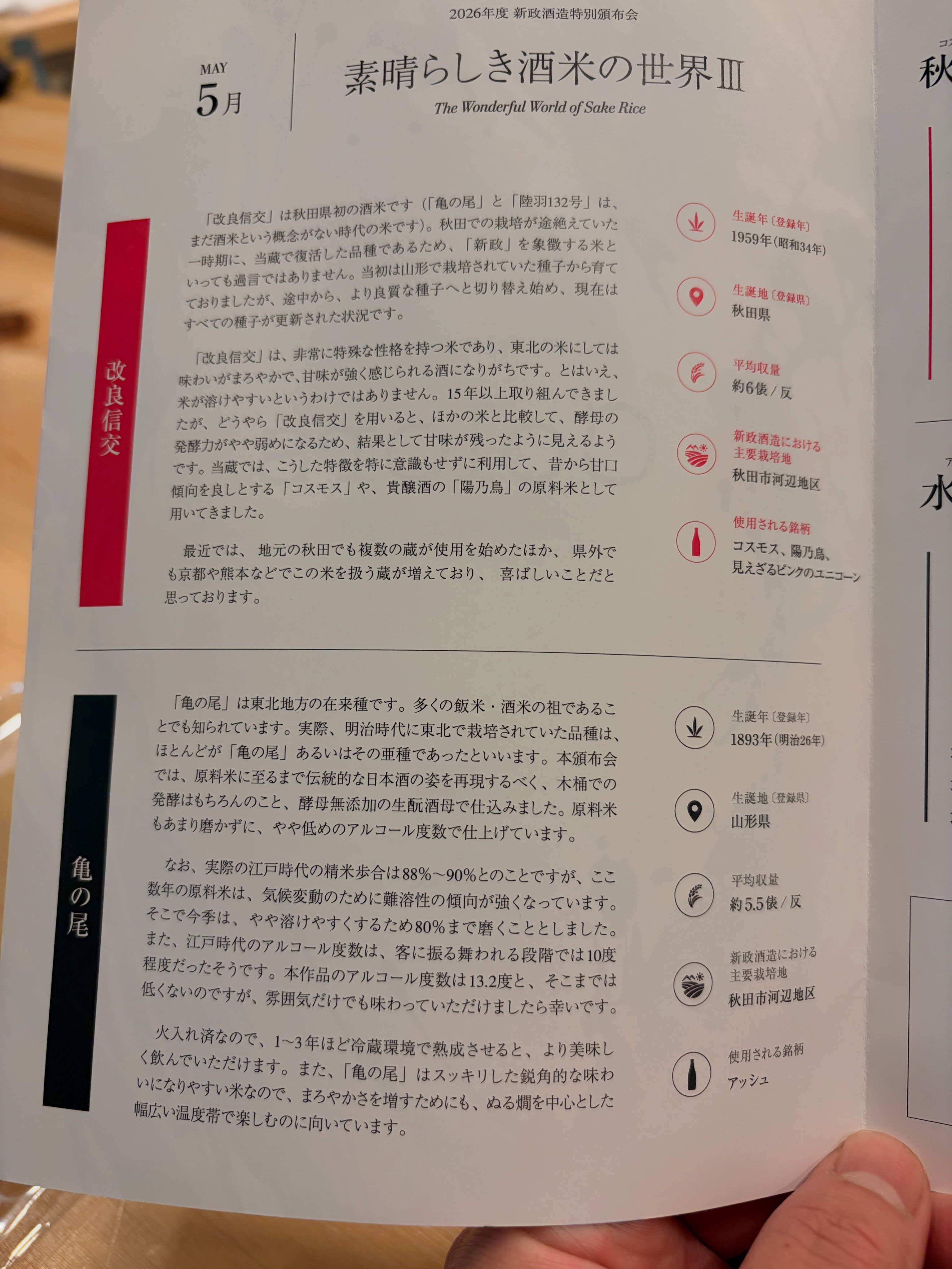 2026年度新政酒造特別頒布会 5月 コスモス 〜改良信交〜（樽酒ver