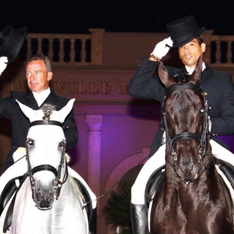 Horses are deeply sensitive to their surroundings. They communicate ...