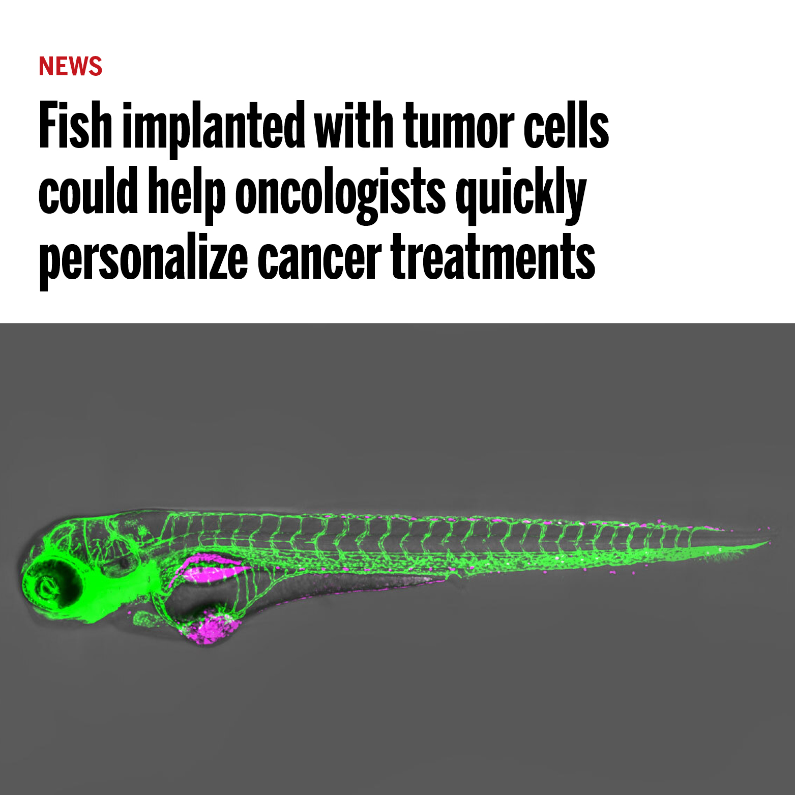 Science - Can oncologists make better cancer treatment... | Facebook