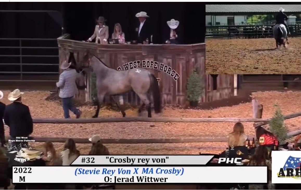 Record prices for quarter horse stallions