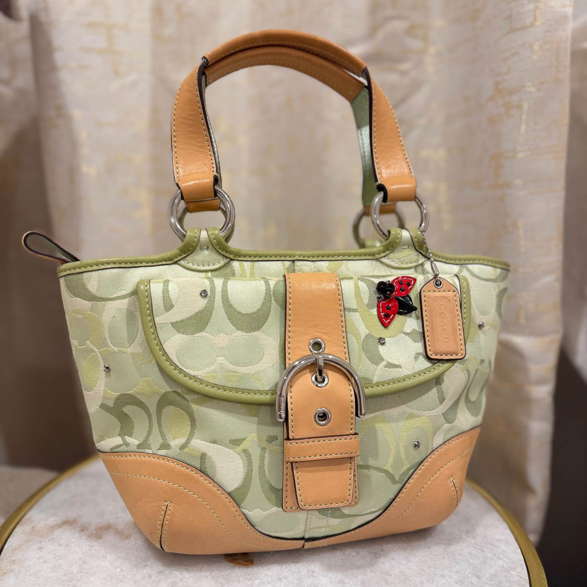 Rare vintage coach ladybug light green mini tote Y2K buckle 